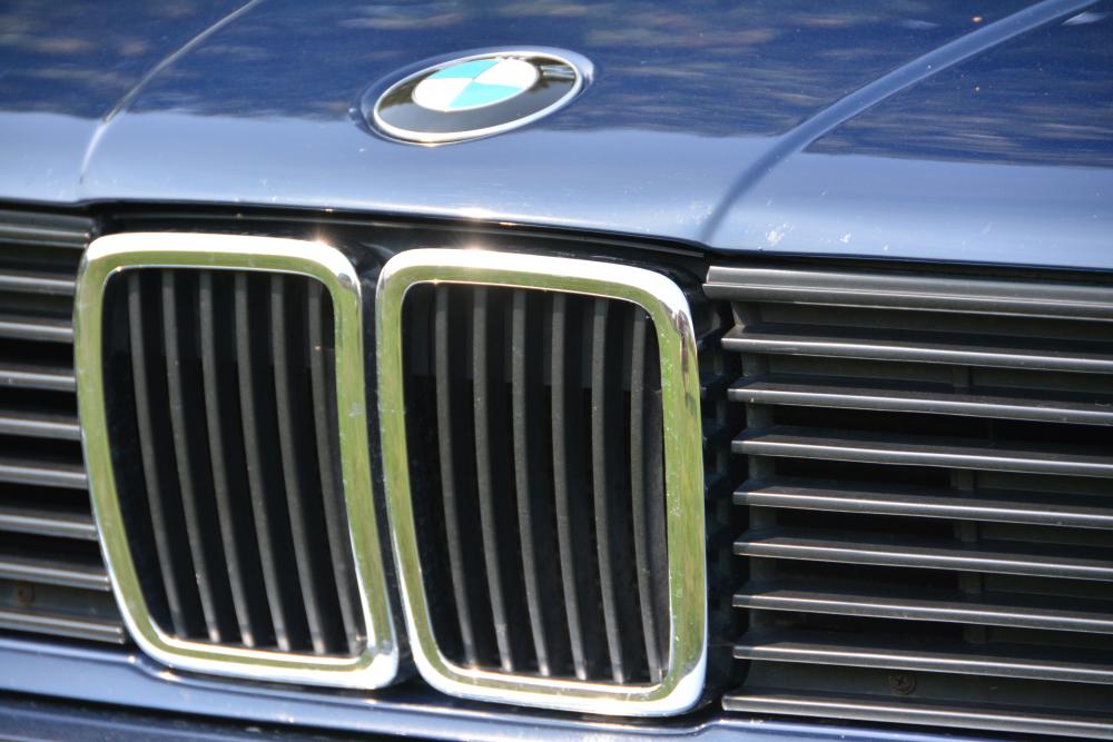 Die BMW-Niere